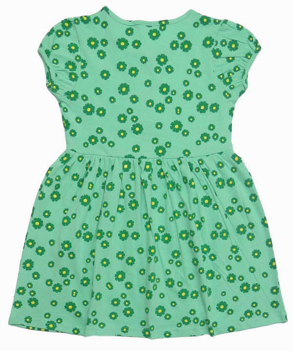 Clothe Funn Baby Girls Dress Lt. Green AOP