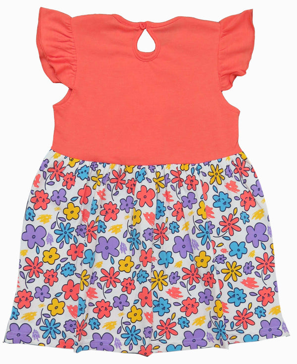 Clothe Funn New Born Baby Girl Dress, Coral/AOP