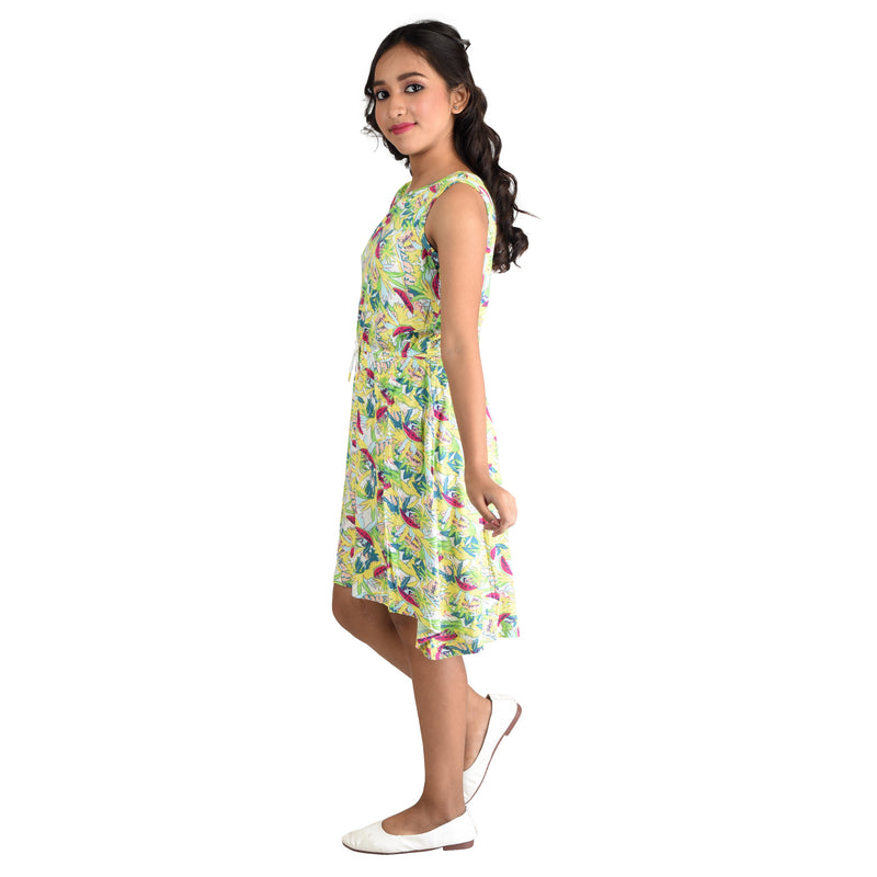 Clothe Funn Girls Frock, Multicolor